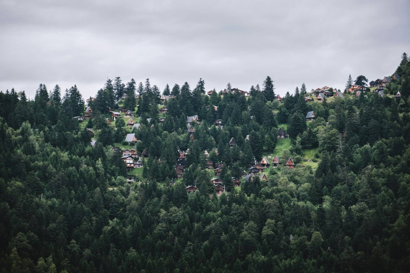 Wooden chalet-style cabins scattered on a green hillside among dense pine forest, the layout of a classic French holiday village