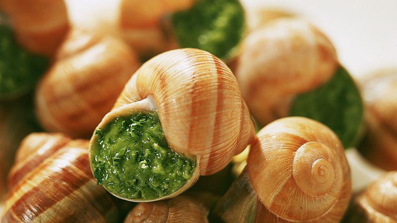 French Cuisine: A Culinary Epic of Tradition and Innovation