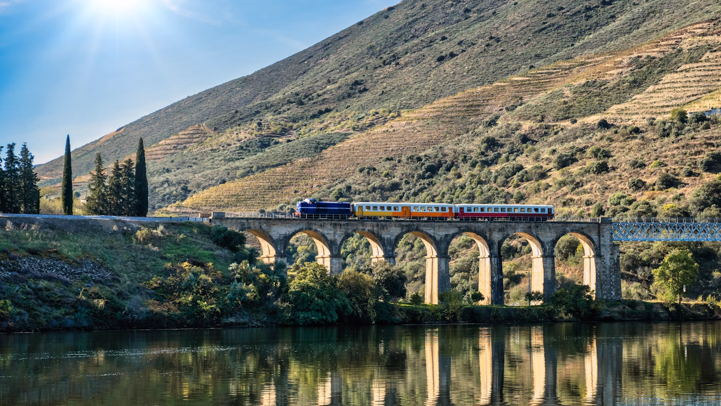 Discover the Douro Valley by Train on a Day Trip from Porto