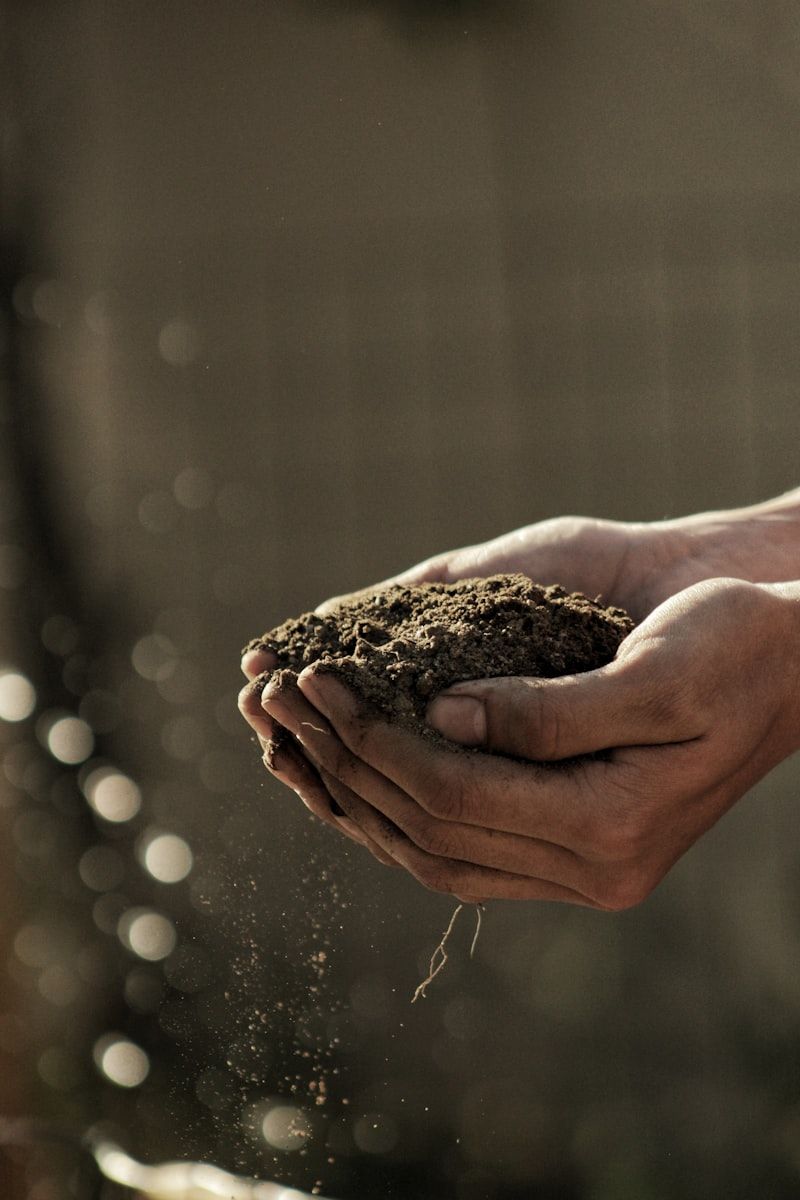 Farmer working in lush agricultural field